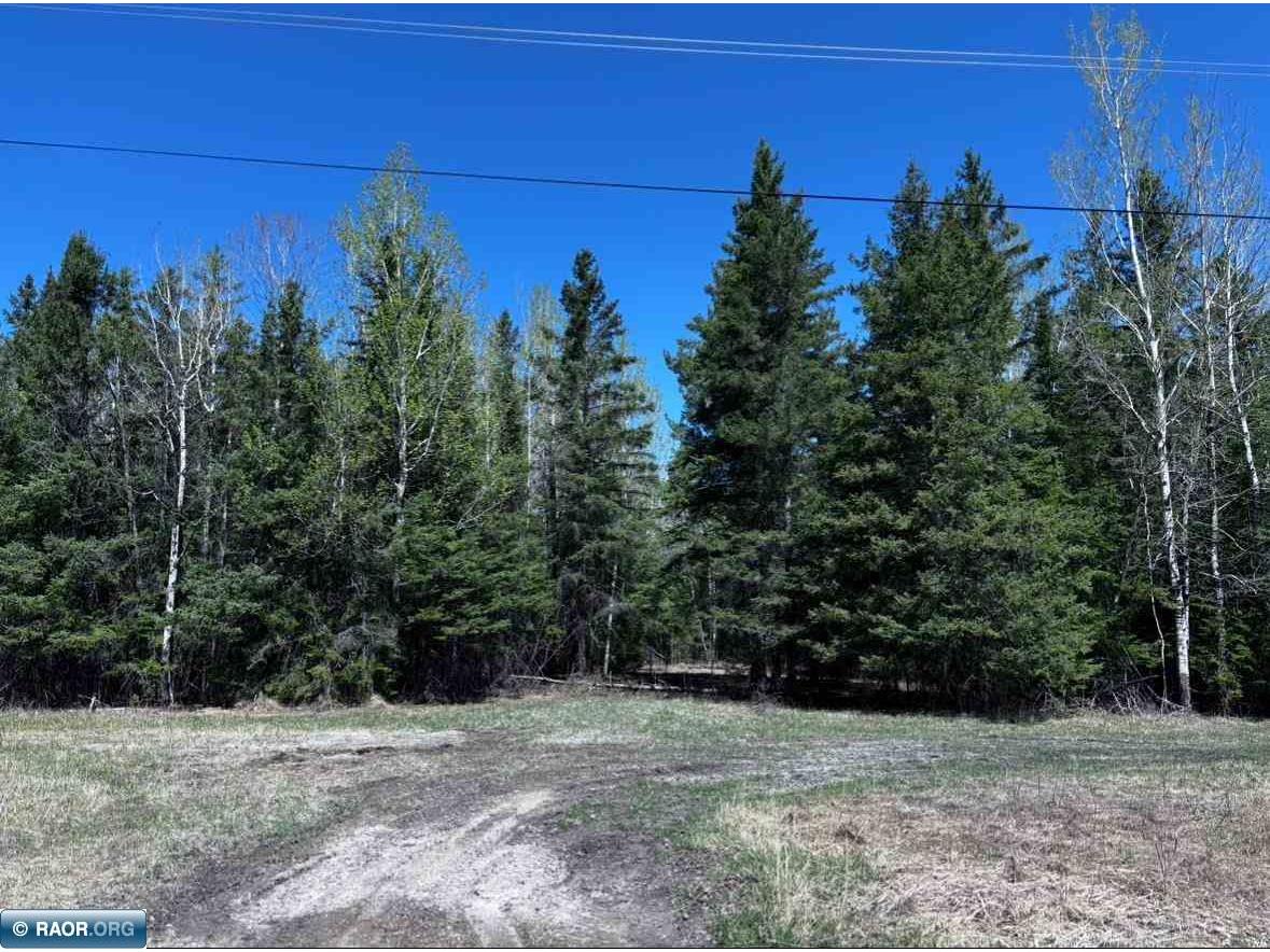 TBD Town Road 286 International Falls MN 56649 147874 image1