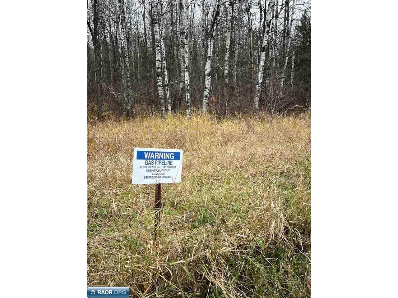 TBD Townline Rd Hibbing MN 55746 149295 image4