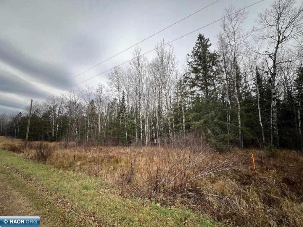 TBD Townline Rd Hibbing MN 55746 149987 image2