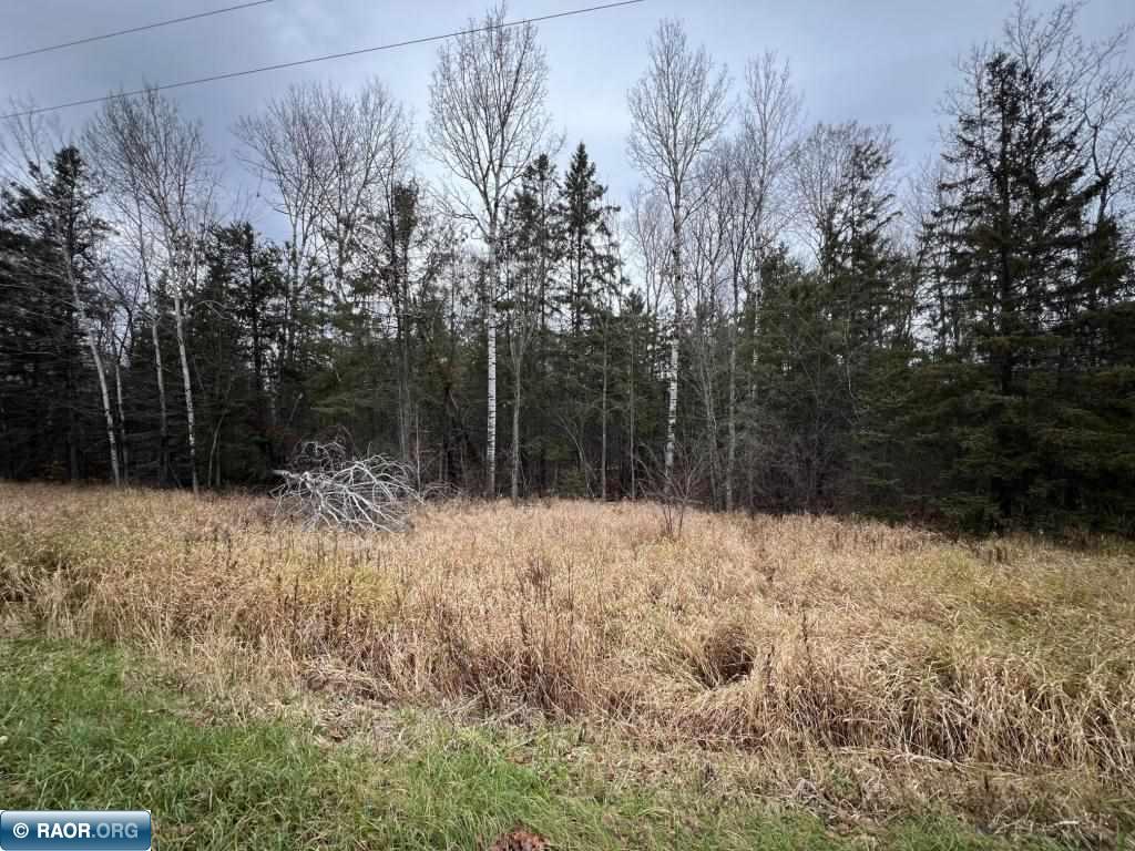 TBD Townline Rd Hibbing MN 55746 149987 image6