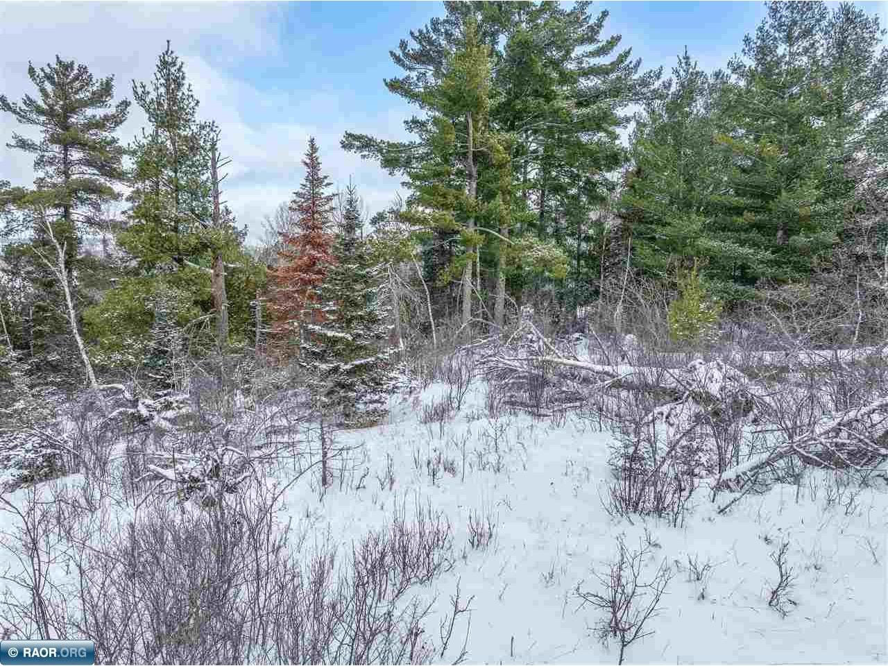 TBD Trezona Dr Ely MN 55731 149422 image18