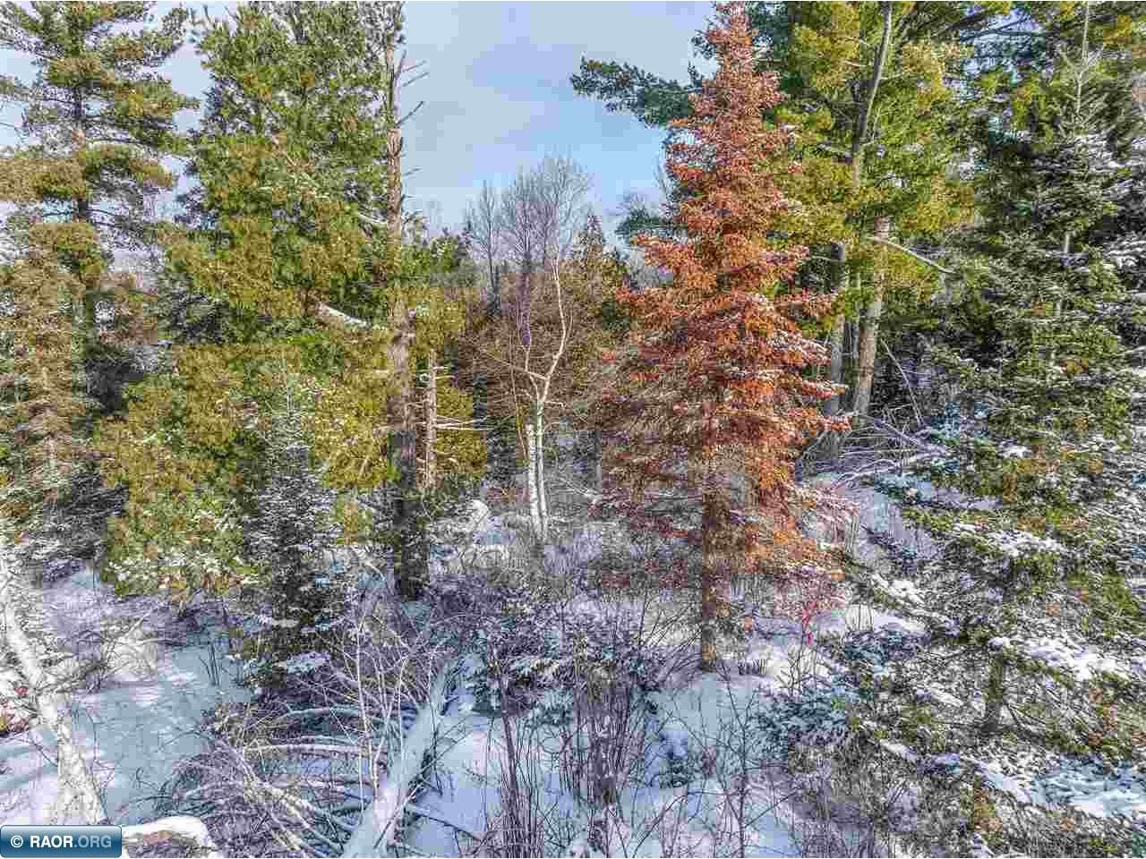 TBD Trezona Dr Ely MN 55731 149422 image3