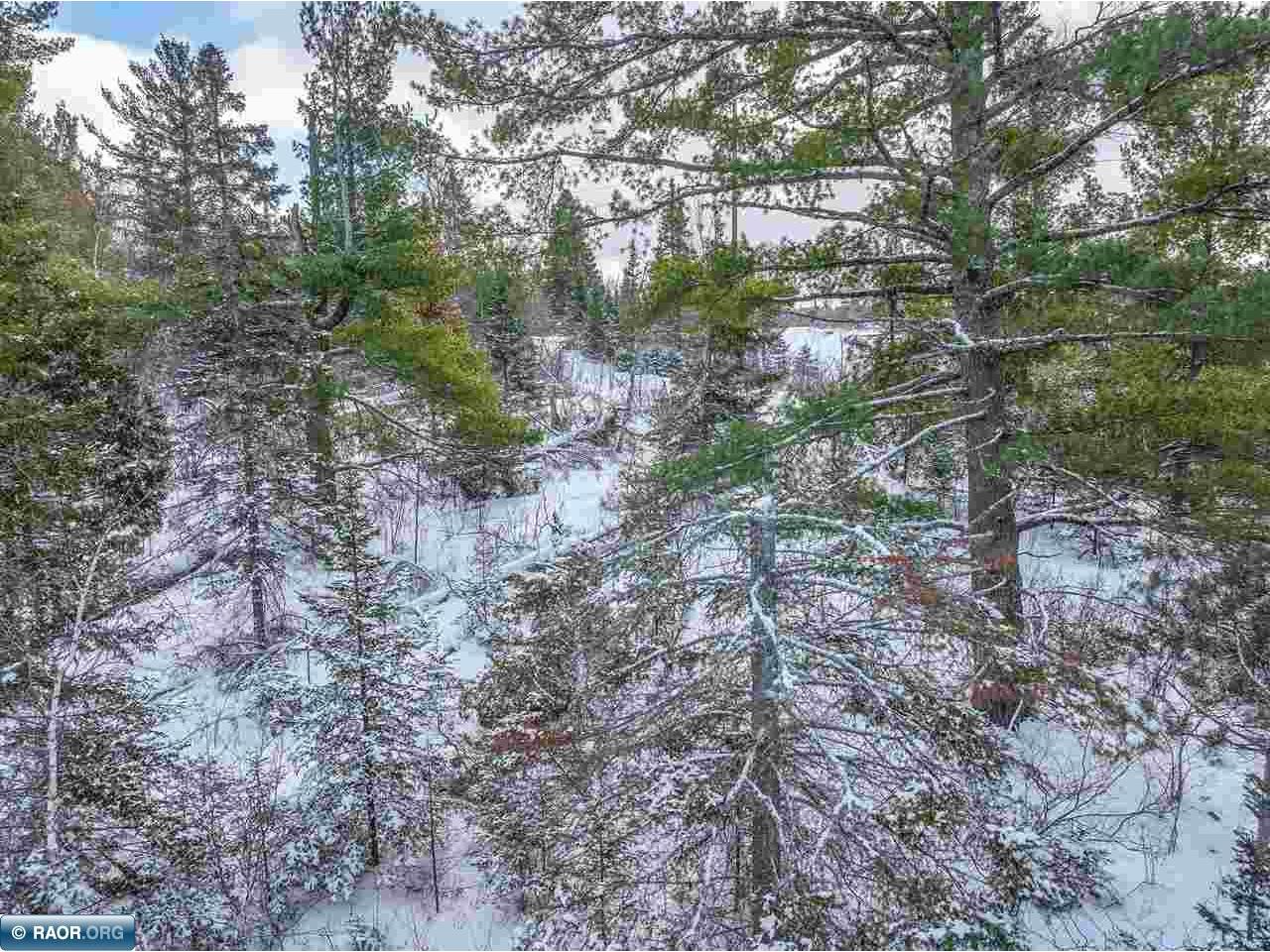 TBD Trezona Dr Ely MN 55731 149422 image6