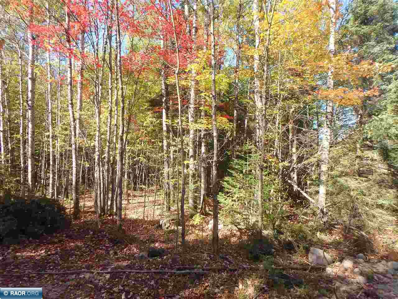 TBD Vermilion Lake Road Cook MN 55723 147531 image10