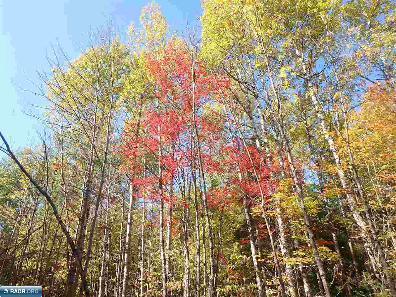 TBD Vermilion Lake Road Cook MN 55723 147531 image9