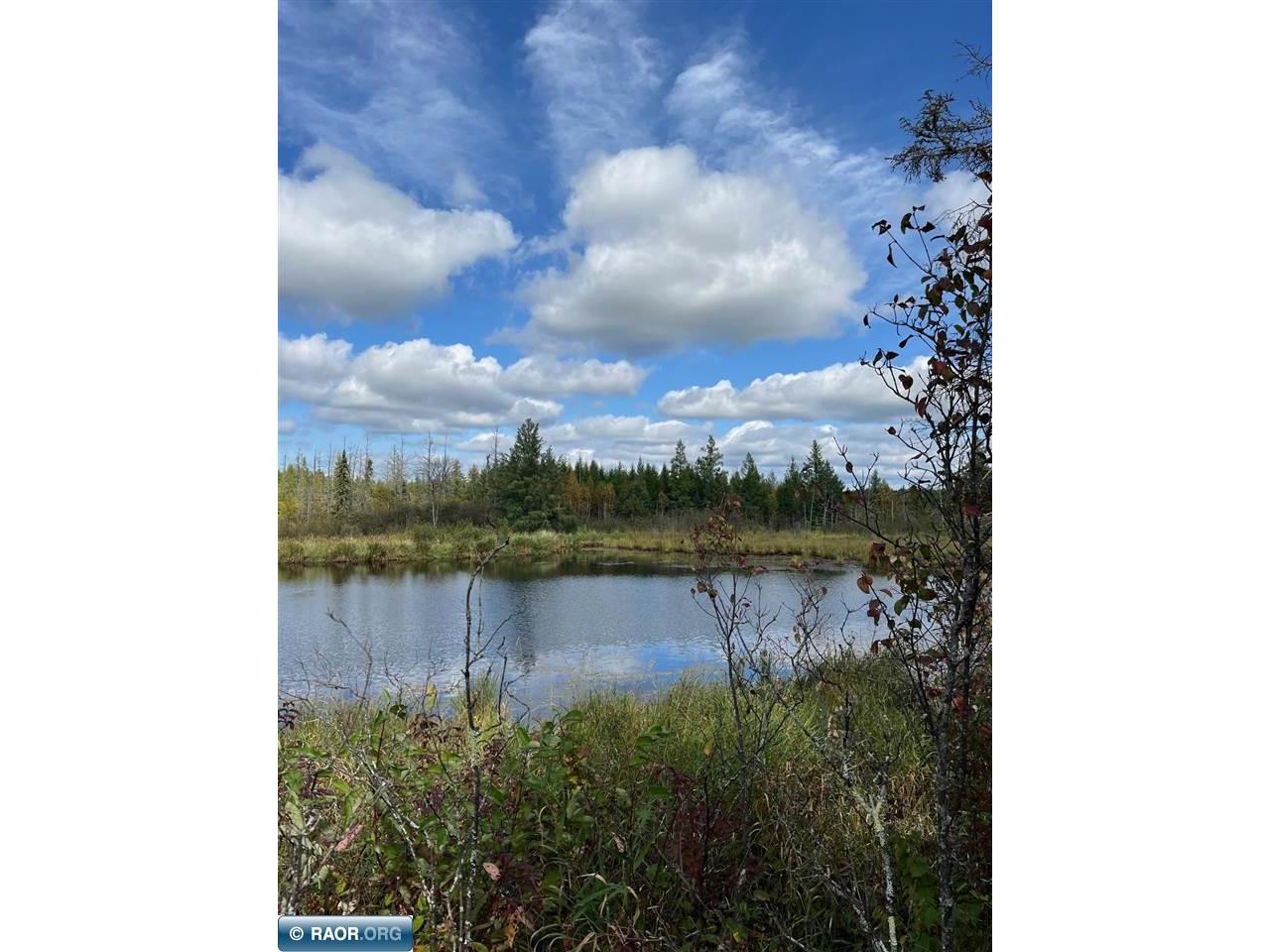 TBD W County Road 3 Ray MN 56669 149052 image10