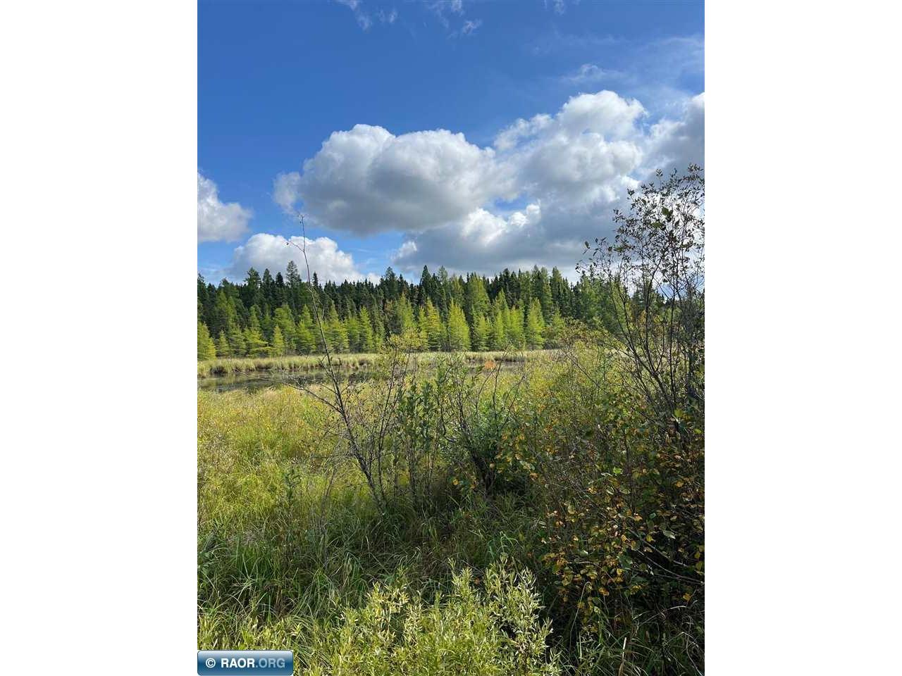 TBD W County Road 3 Ray MN 56669 149052 image11