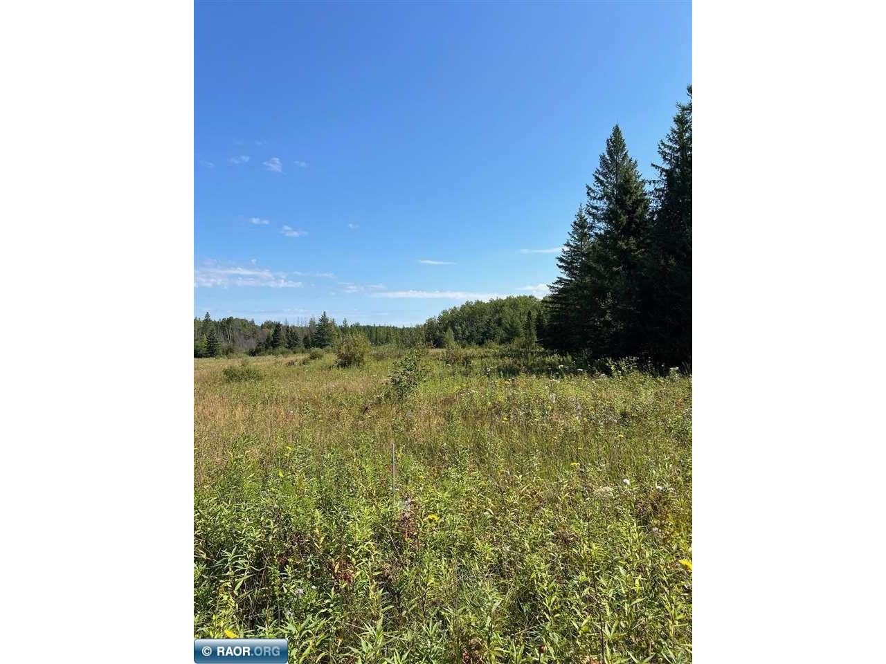 TBD W County Road 3 Ray MN 56669 149052 image12