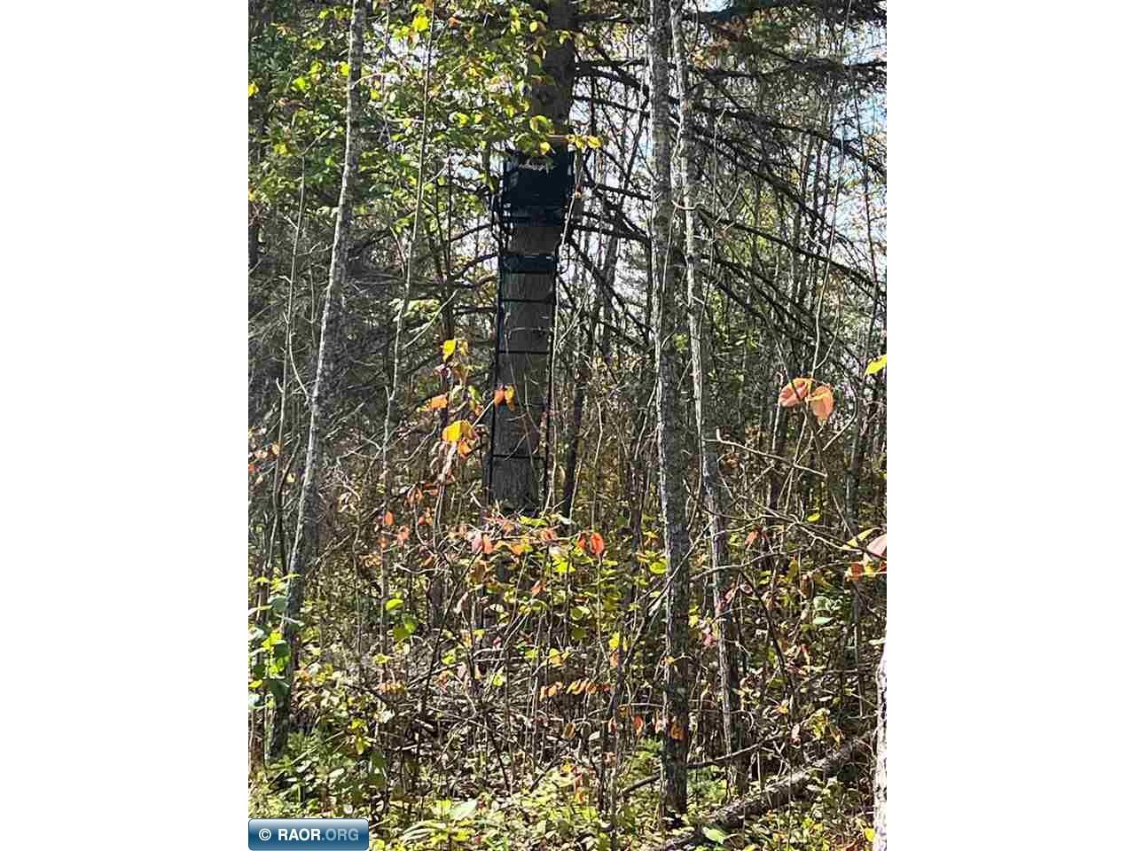 TBD W County Road 3 Ray MN 56669 149052 image17