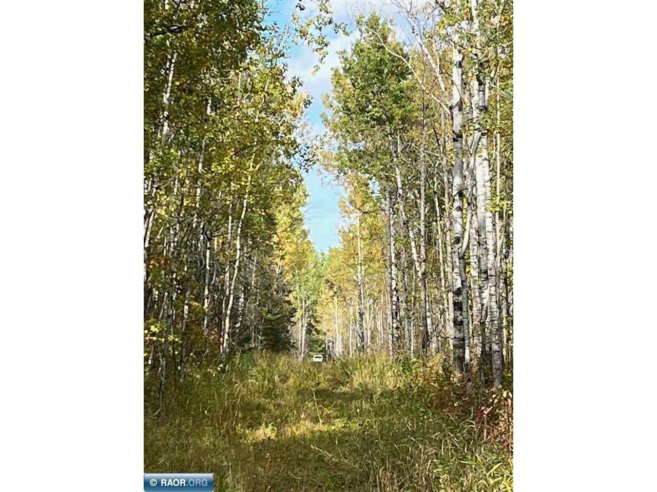 TBD W County Road 3 Ray MN 56669 149052 image2