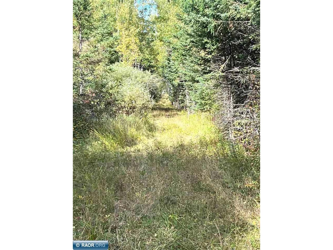 TBD W County Road 3 Ray MN 56669 149052 image4