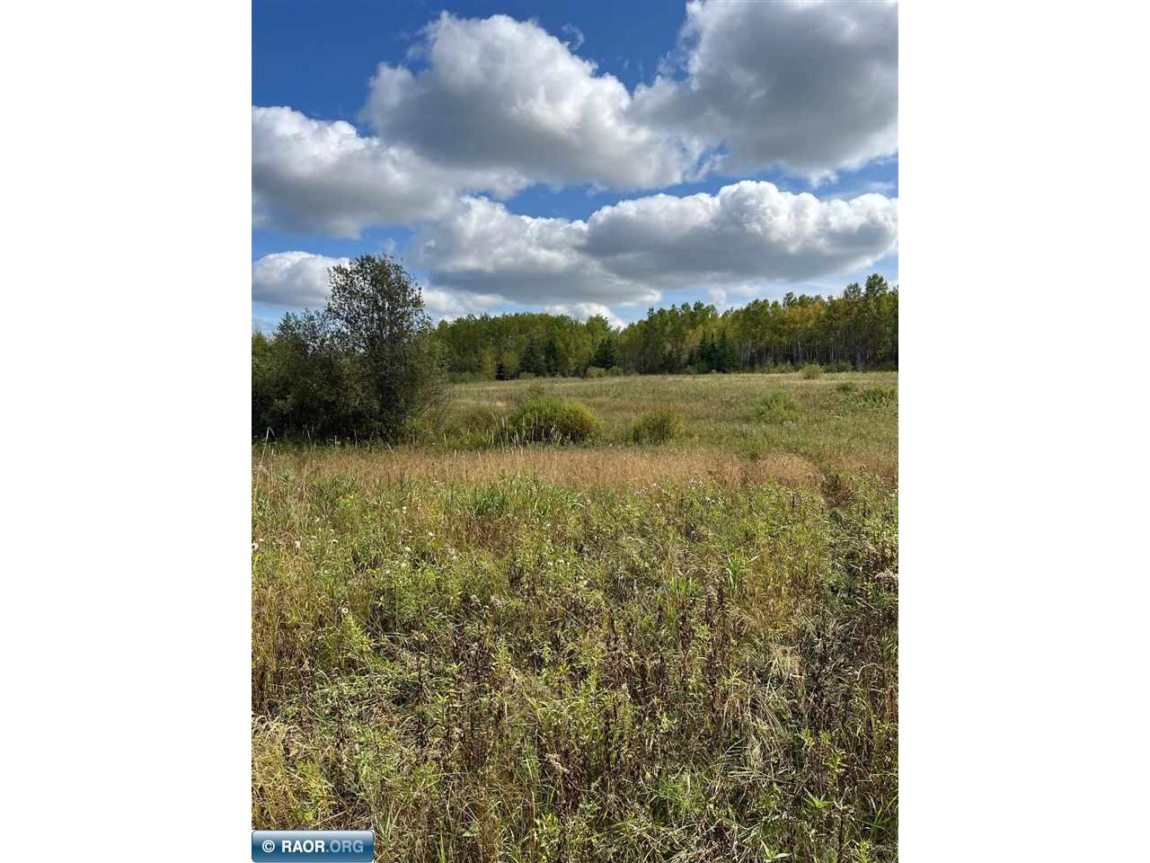 TBD W County Road 3 Ray MN 56669 149052 image5