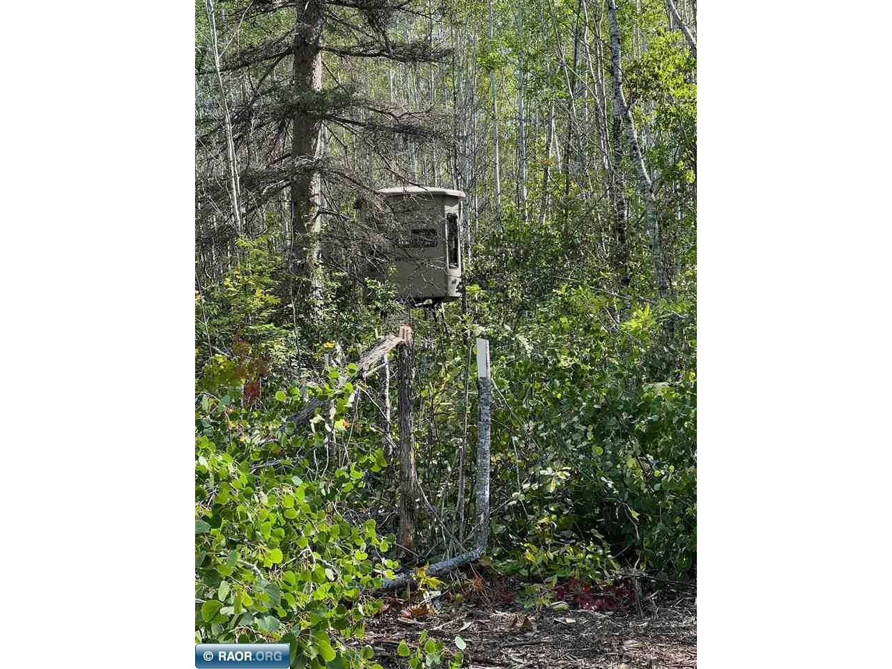 TBD W County Road 3 Ray MN 56669 149052 image8