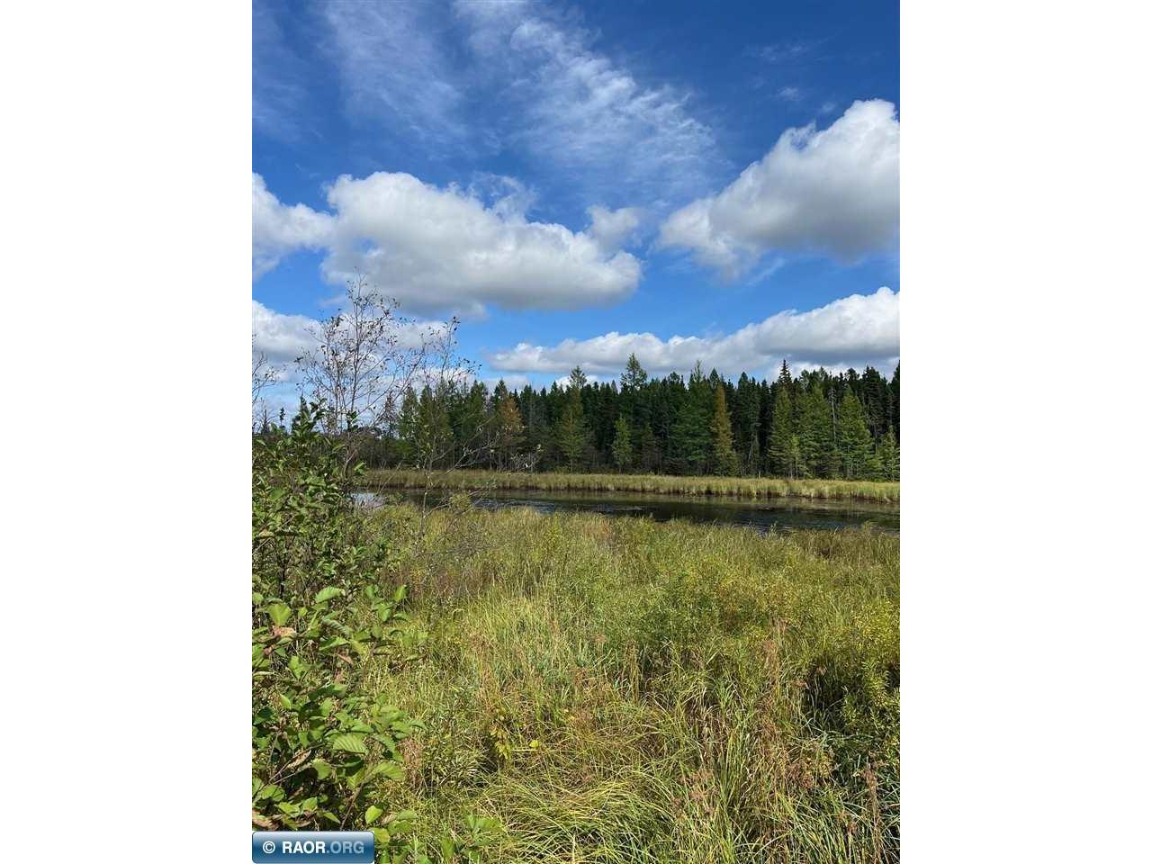 TBD W County Road 3 Ray MN 56669 149052 image9