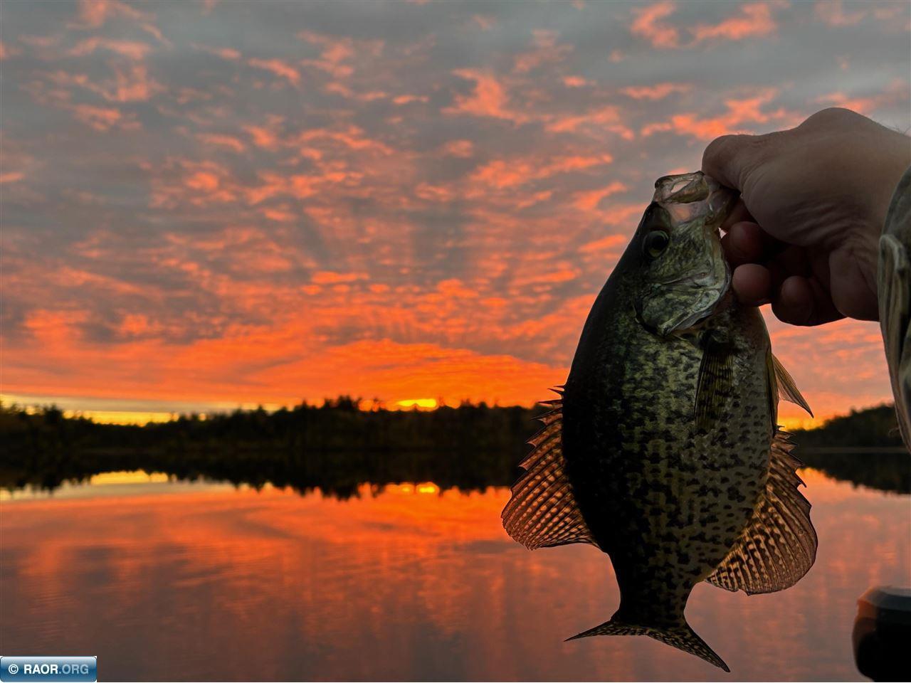TBD Wilderness Way Cook MN 55723 - Vermilion 149290 image1