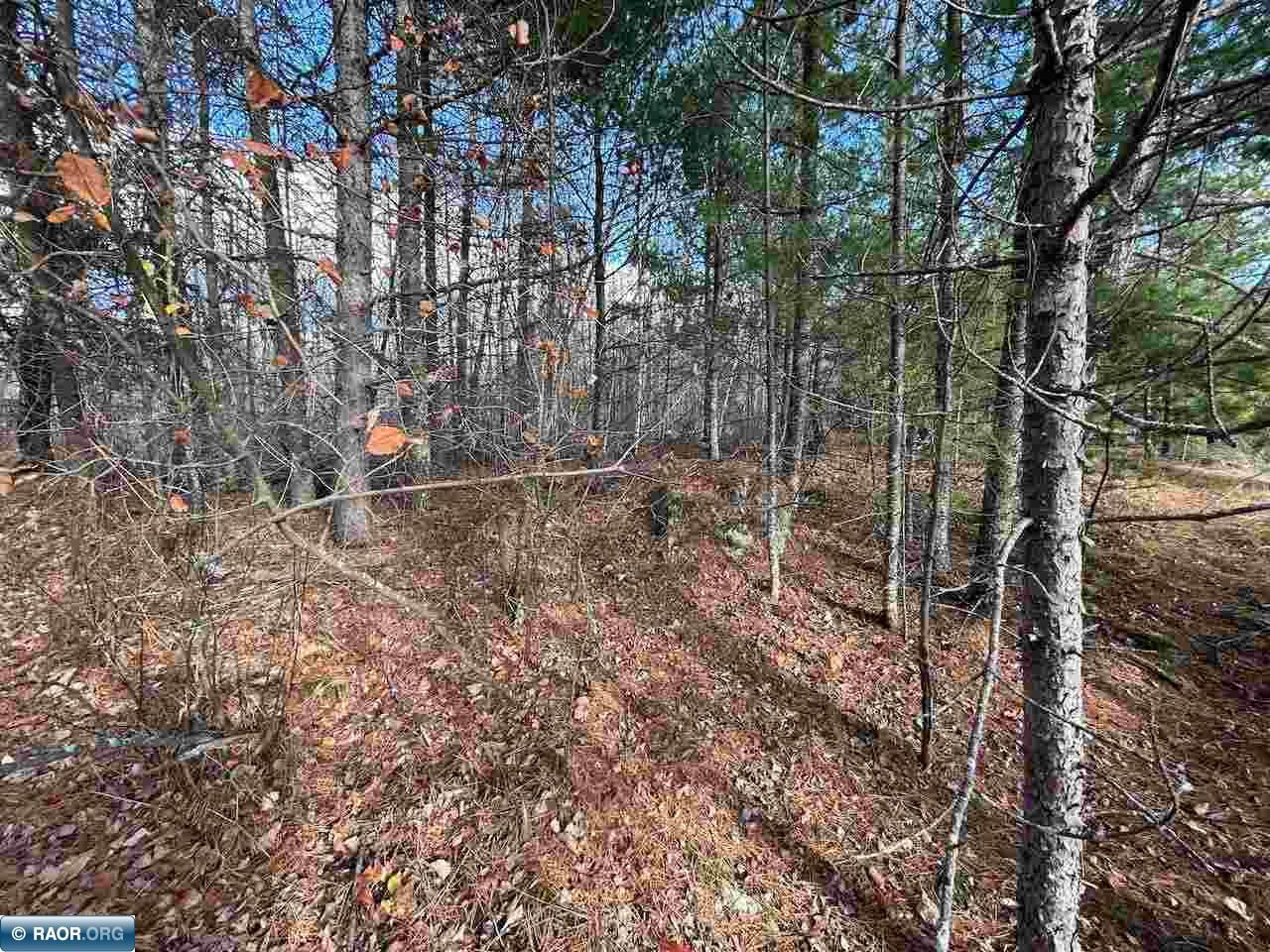 TBD Wilderness Way Cook MN 55723 - Vermilion 149290 image13