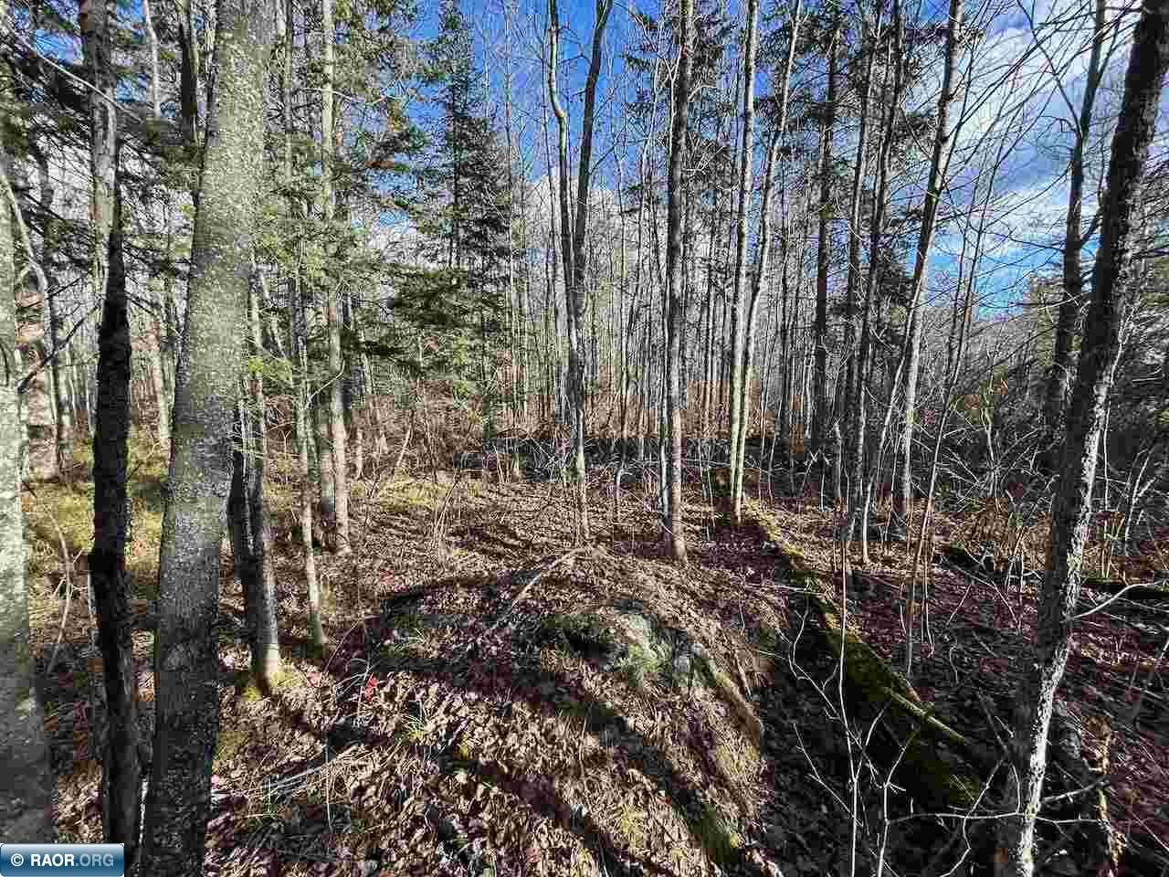 TBD Wilderness Way Cook MN 55723 - Vermilion 149290 image15