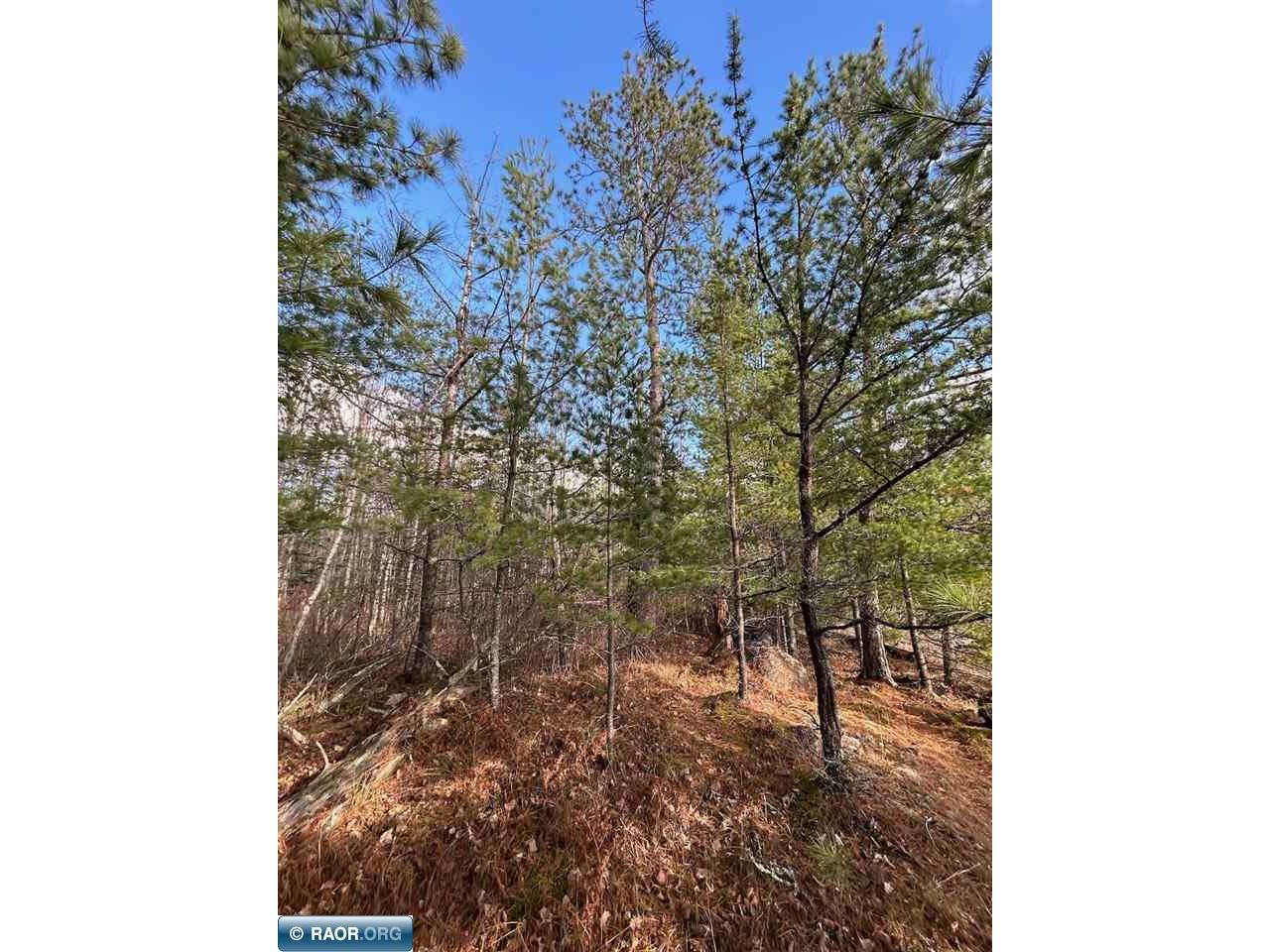 TBD Wilderness Way Cook MN 55723 - Vermilion 149290 image18