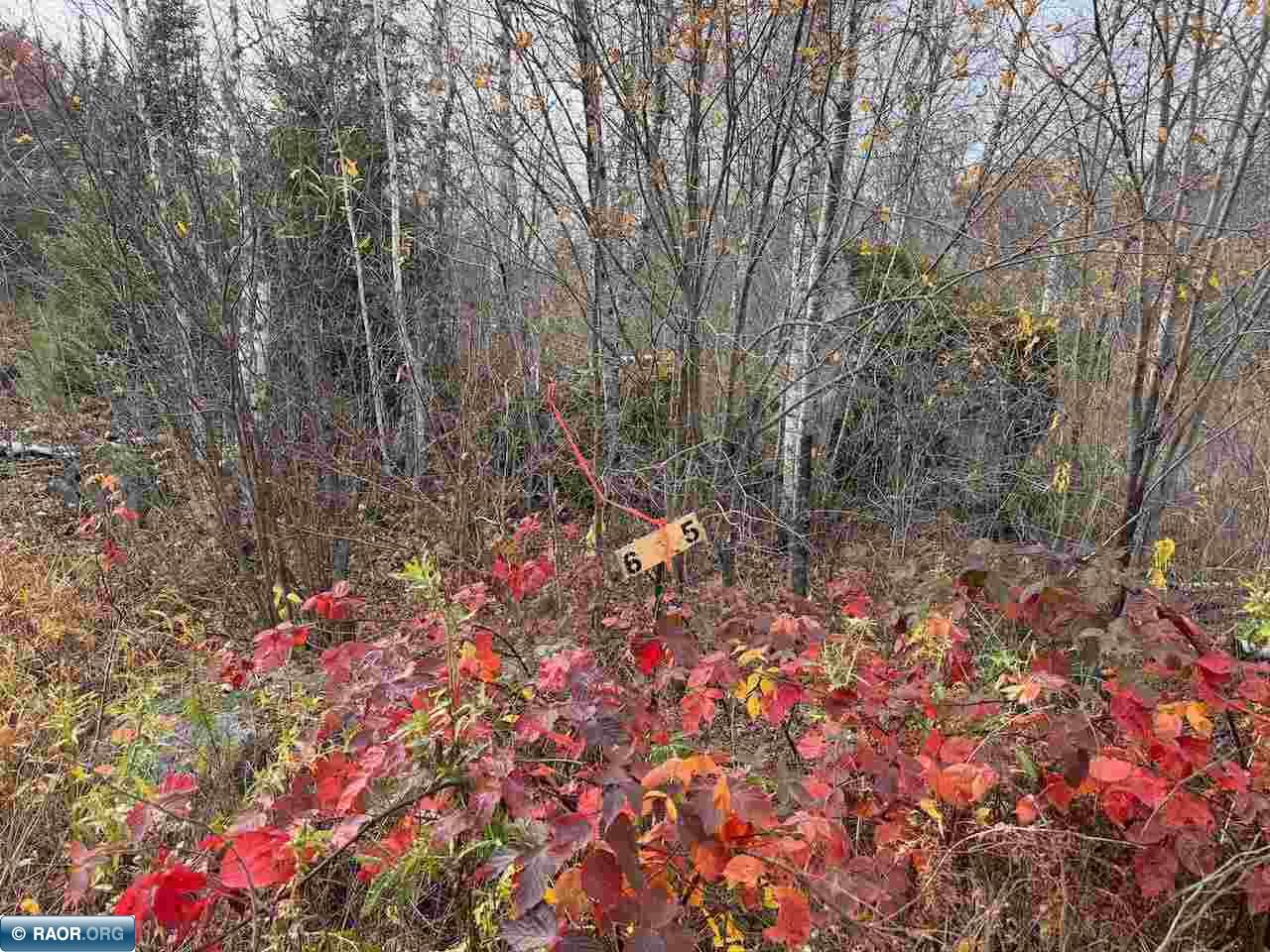 TBD Wilderness Way Cook MN 55723 - Vermilion 149290 image19