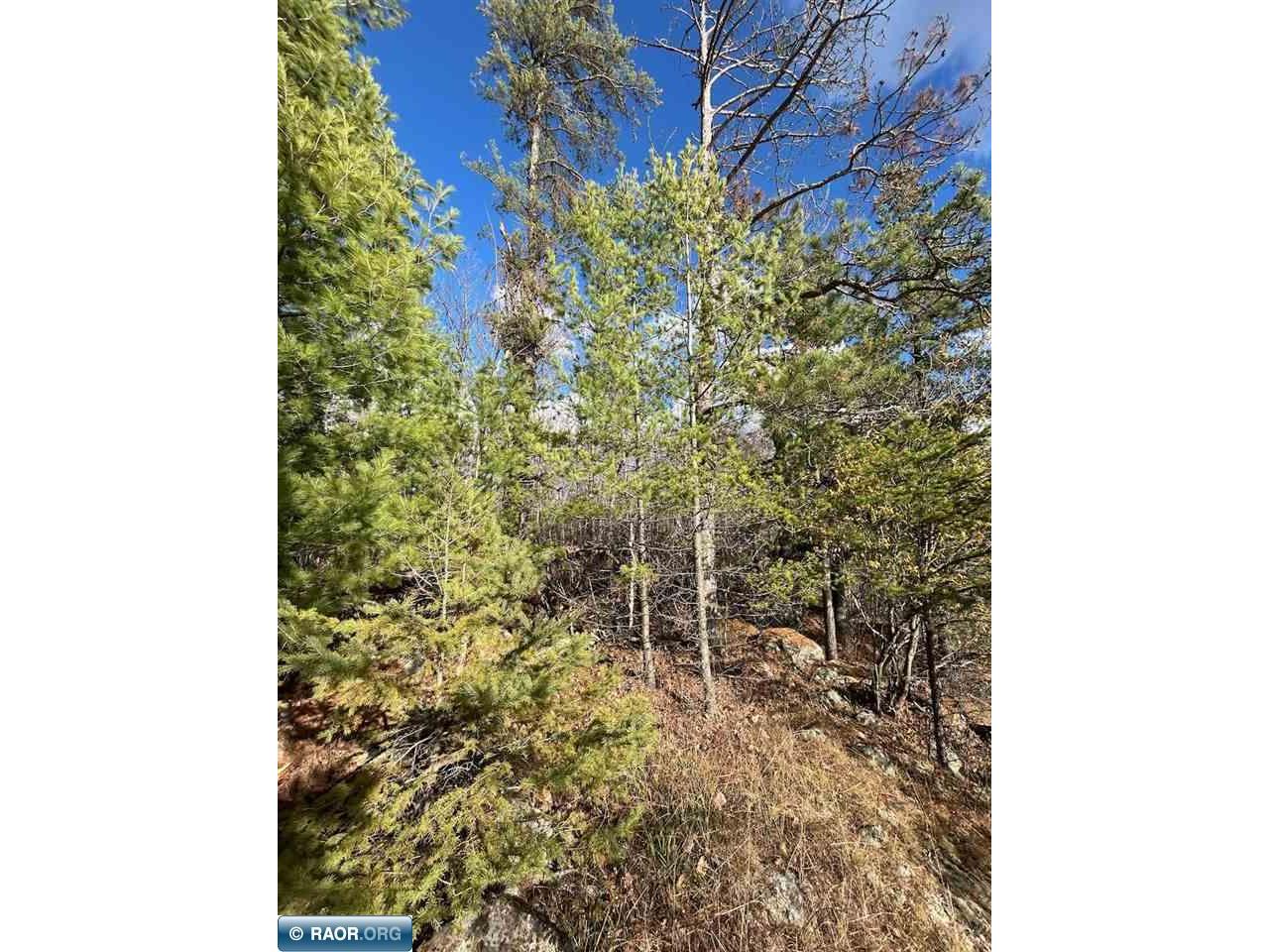 TBD Wilderness Way Cook MN 55723 - Vermilion 149290 image6