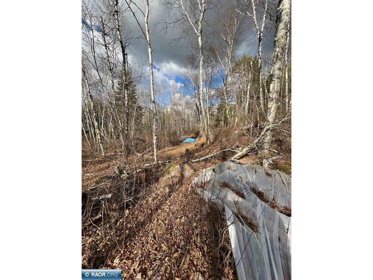 TBD Wilderness Way Cook MN 55723 - Vermilion 149290 image9