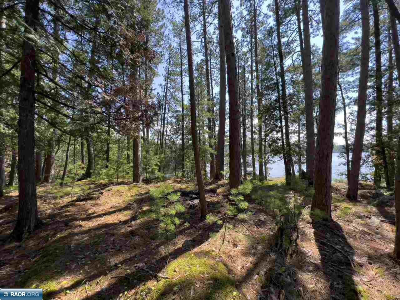 X Waters Island Ely MN 55731 - Burntside Lake 148381 image42