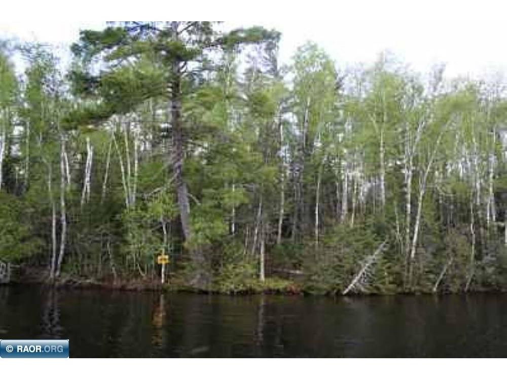 XX Pine Island NW Tower MN 55790 - Vermilion 148199 image1