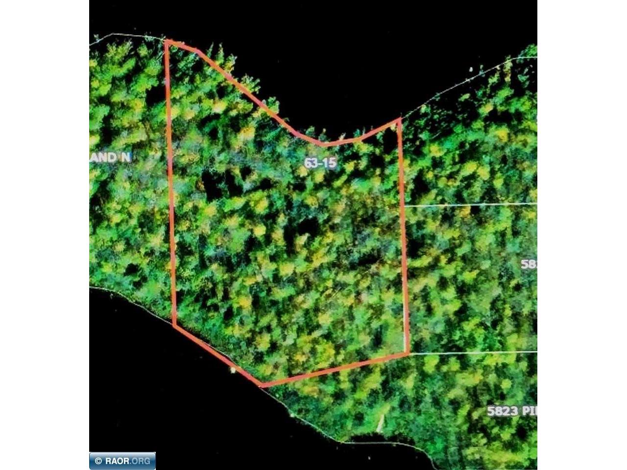 XX Pine Island NW Tower MN 55790 - Vermilion 148199 image2