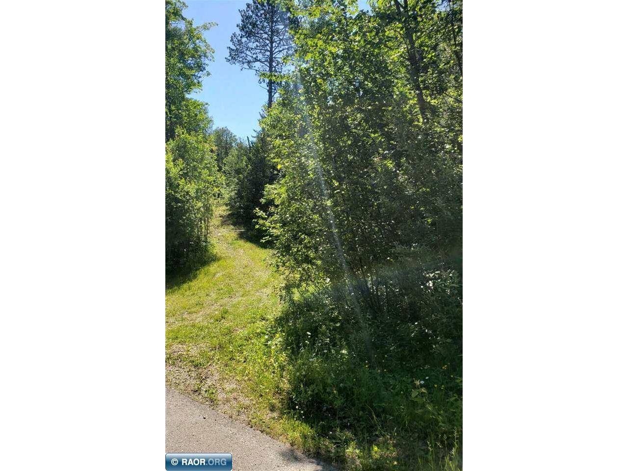 XXX Wolf Lake Road Ely MN 55731 141731 image1