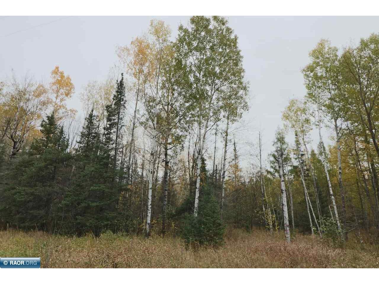 XXXX Highway 100 Aurora MN 55705 149186 image1