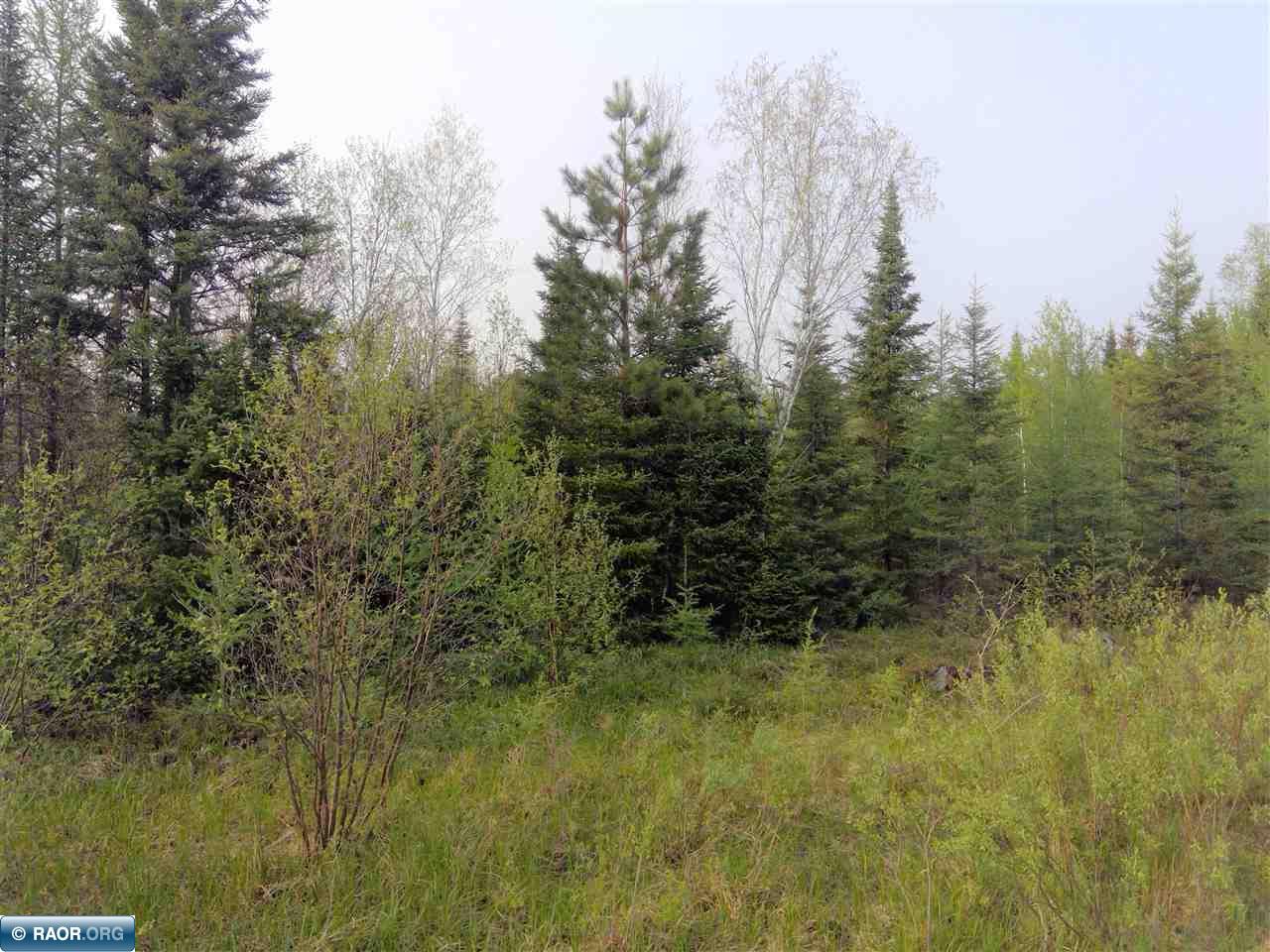 XXXXX Townline Road, Hibbing, MN, 55746 MLS 145050 Edina Realty