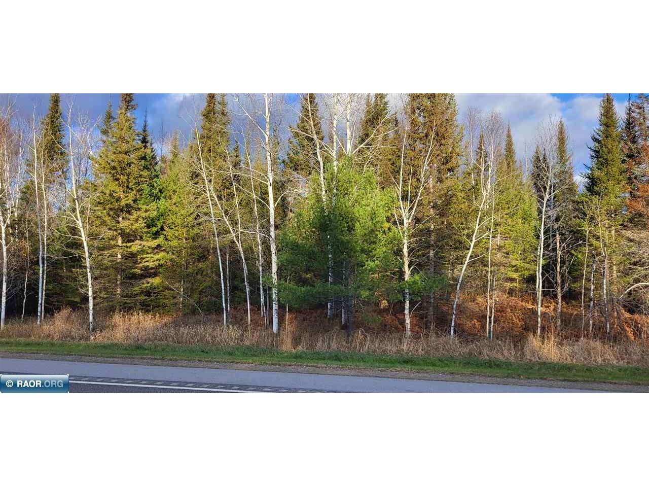 xx16.27 Crane Lake Rd, Crane Lake, MN 55725 MLS 146016 Edina Realty