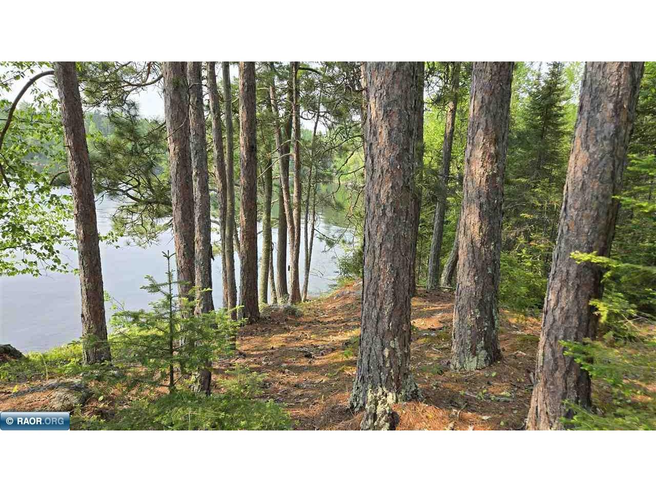 xxx 11.85 Bessette Rd Orr MN 55771 - Pelican 148445 image22