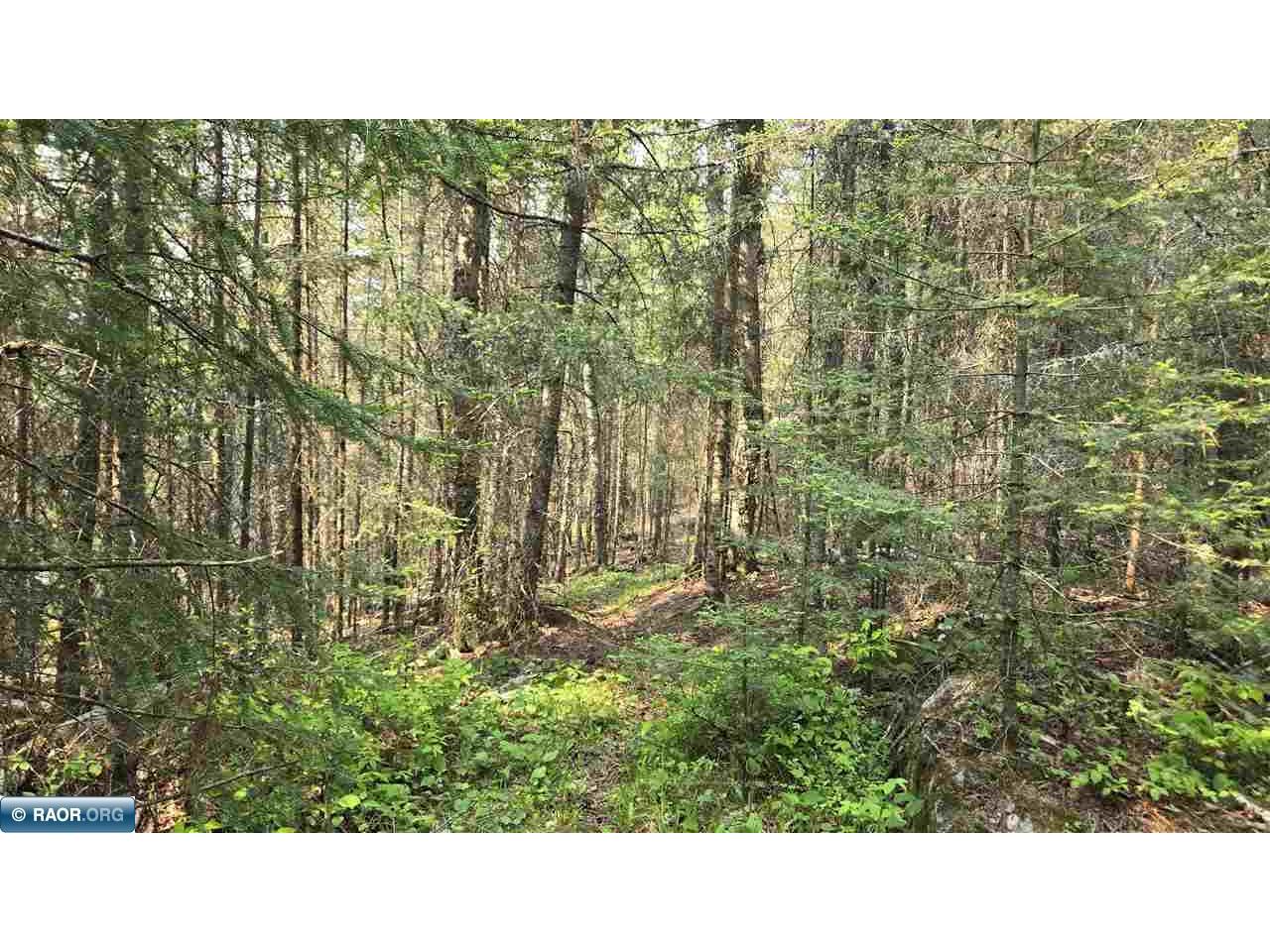 xxx 11.85 Bessette Rd Orr MN 55771 - Pelican 148445 image38