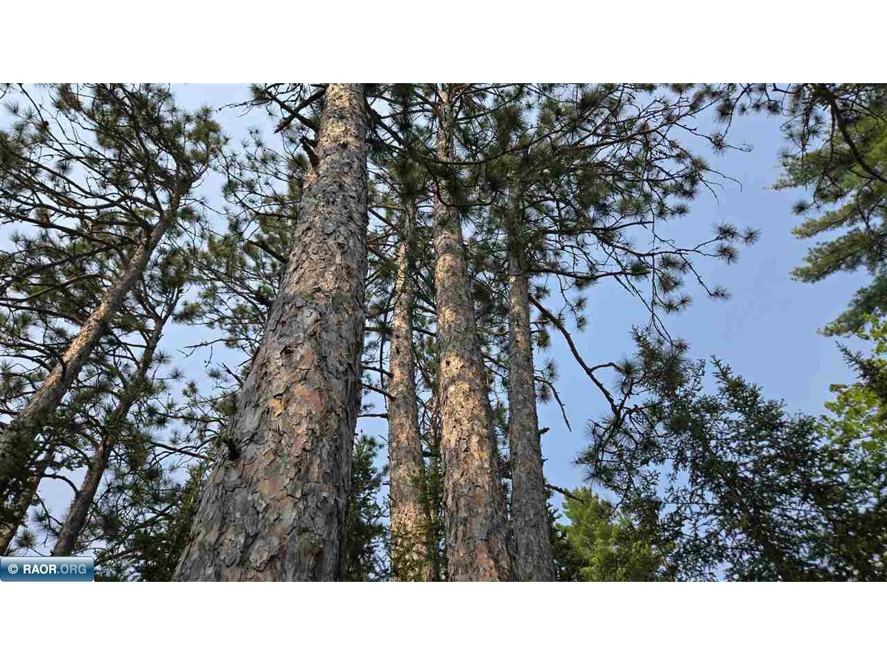 xxx 11.85 Bessette Rd Orr MN 55771 - Pelican 148445 image8