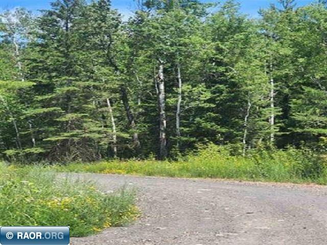 xxx Hwy 110 Aurora MN 55705 145425 image1