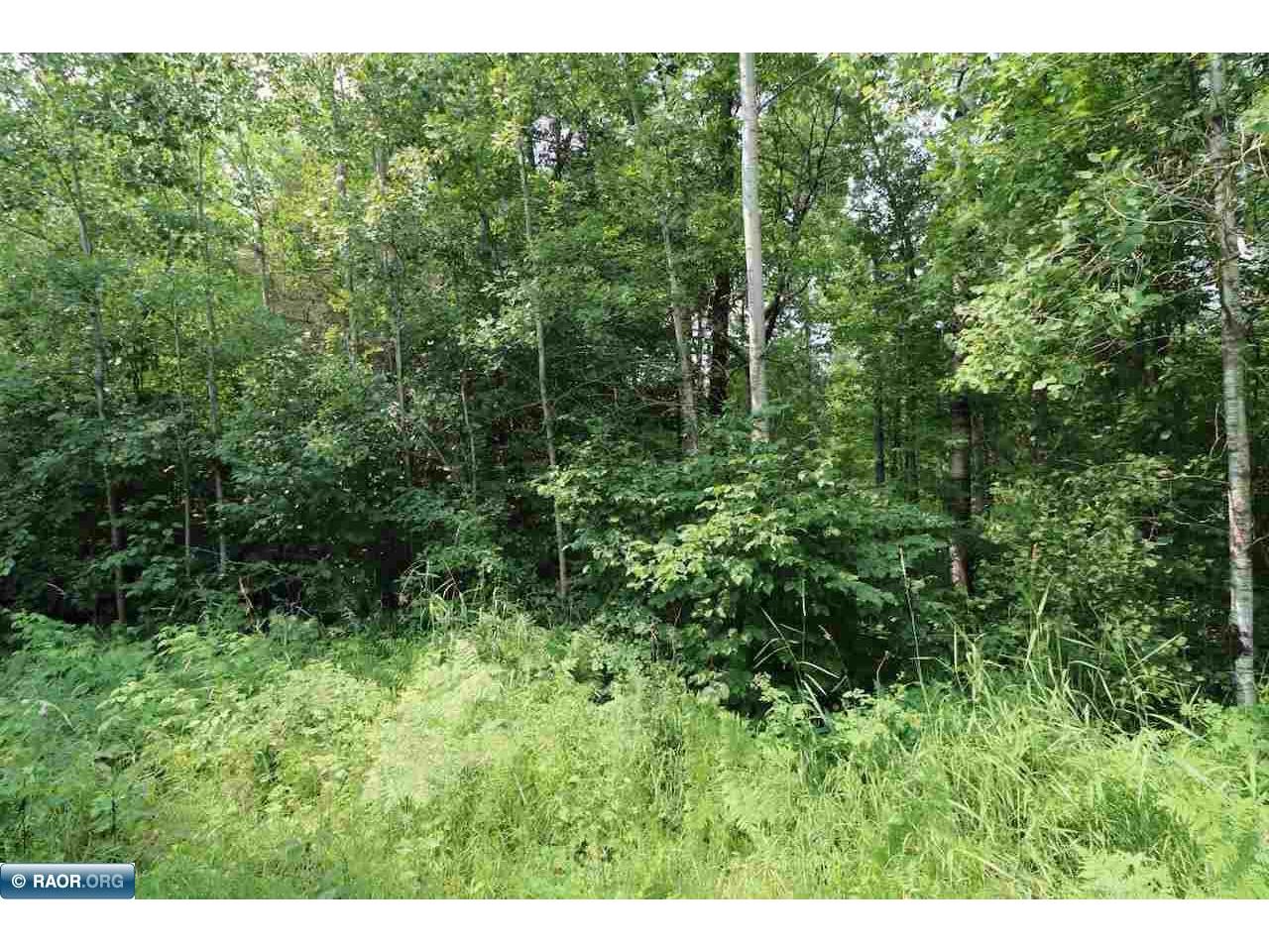 xxx Lane 51 Aurora MN 55705 148763 image1