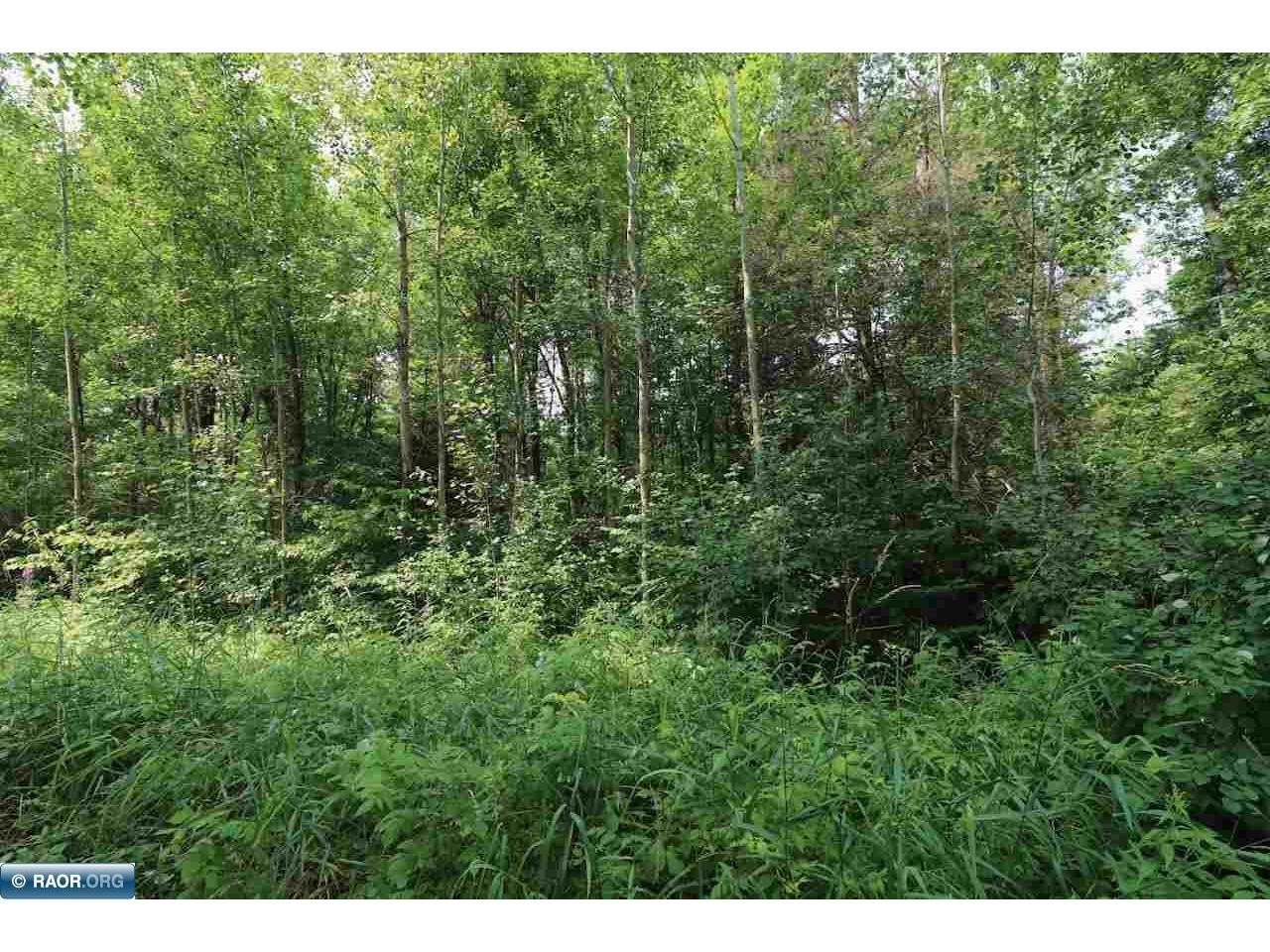 xxx Lane 51 Aurora MN 55705 148763 image3