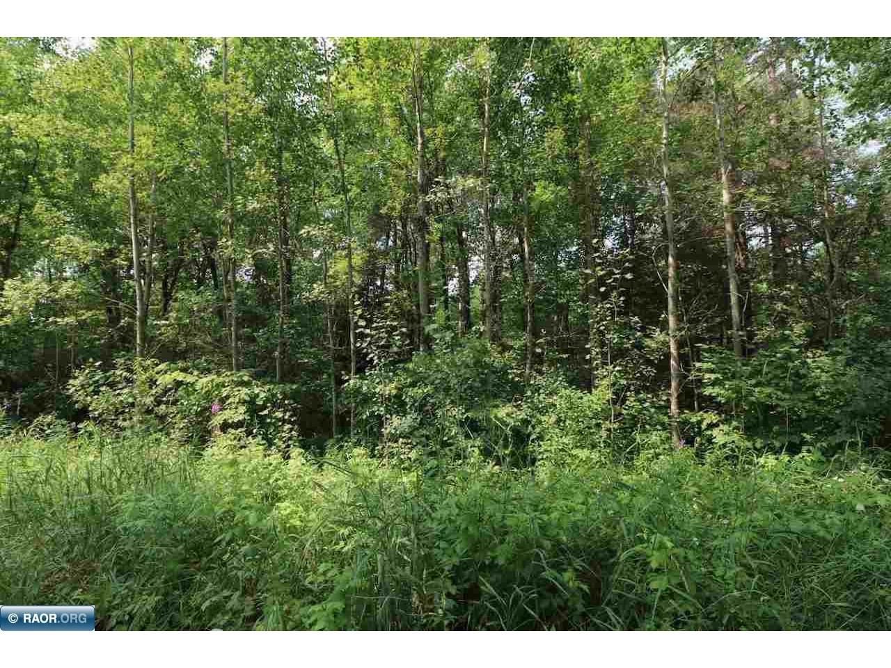 xxx Lane 51 Aurora MN 55705 148763 image4