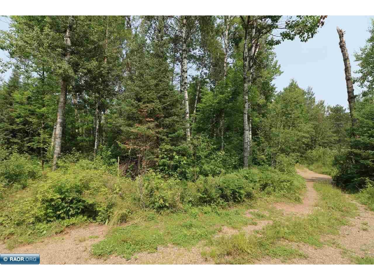 xxx Lane 51 Aurora MN 55705 148763 image7