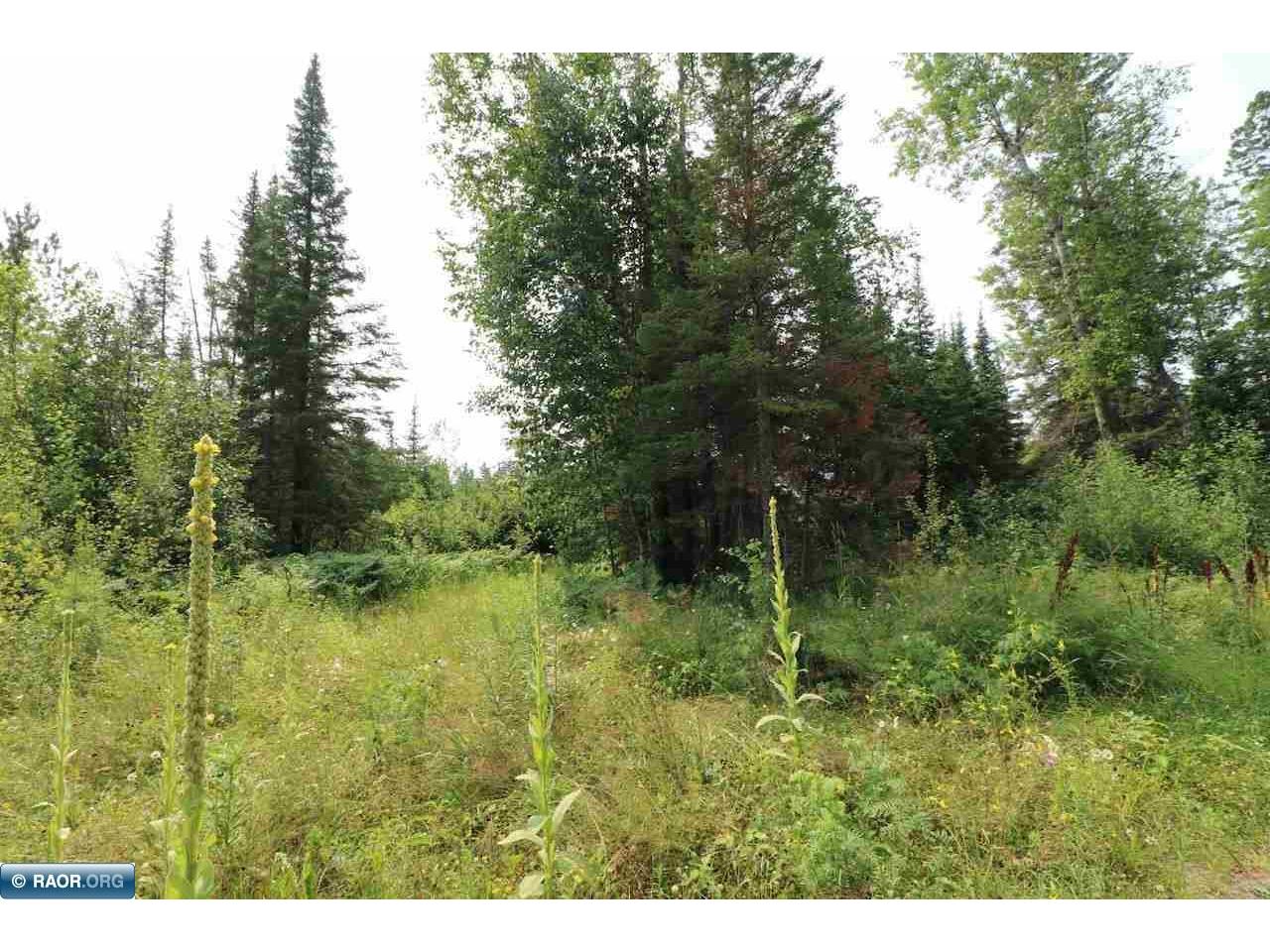 xxx Lane 51 Aurora MN 55705 148763 image9