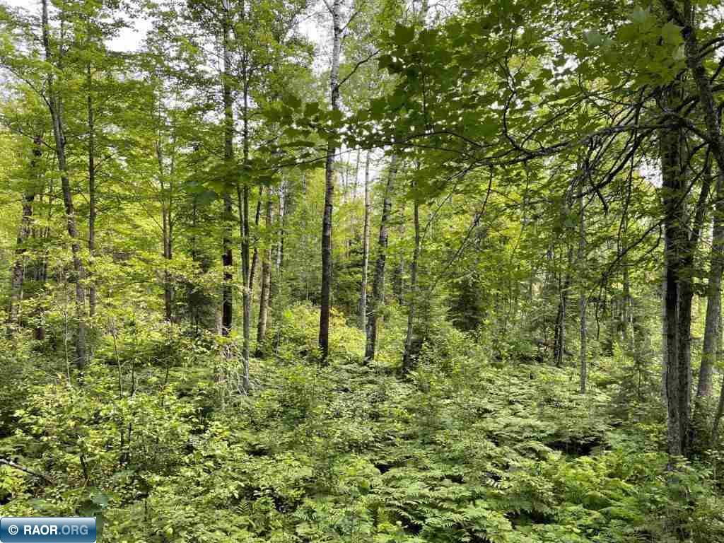 xxx Old Cemetery Road Tower MN 55790 145392 image1