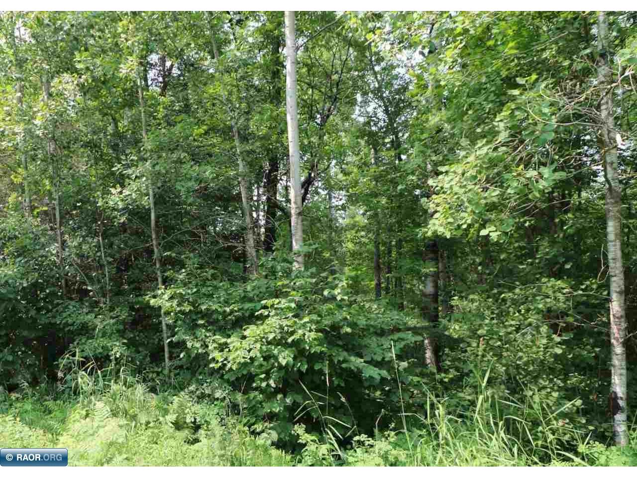 xxxx Deer Forest Rd Aurora MN 55705 148828 image1