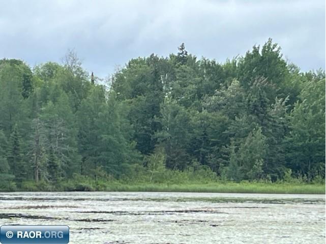 xxxx E Stone Lake Rd. Zim MN 55738 - West Stone Lake 144702 image1