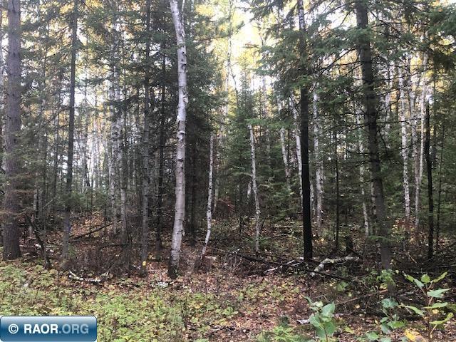 xxxx Highway 5 Cook MN 55723 148615 image1