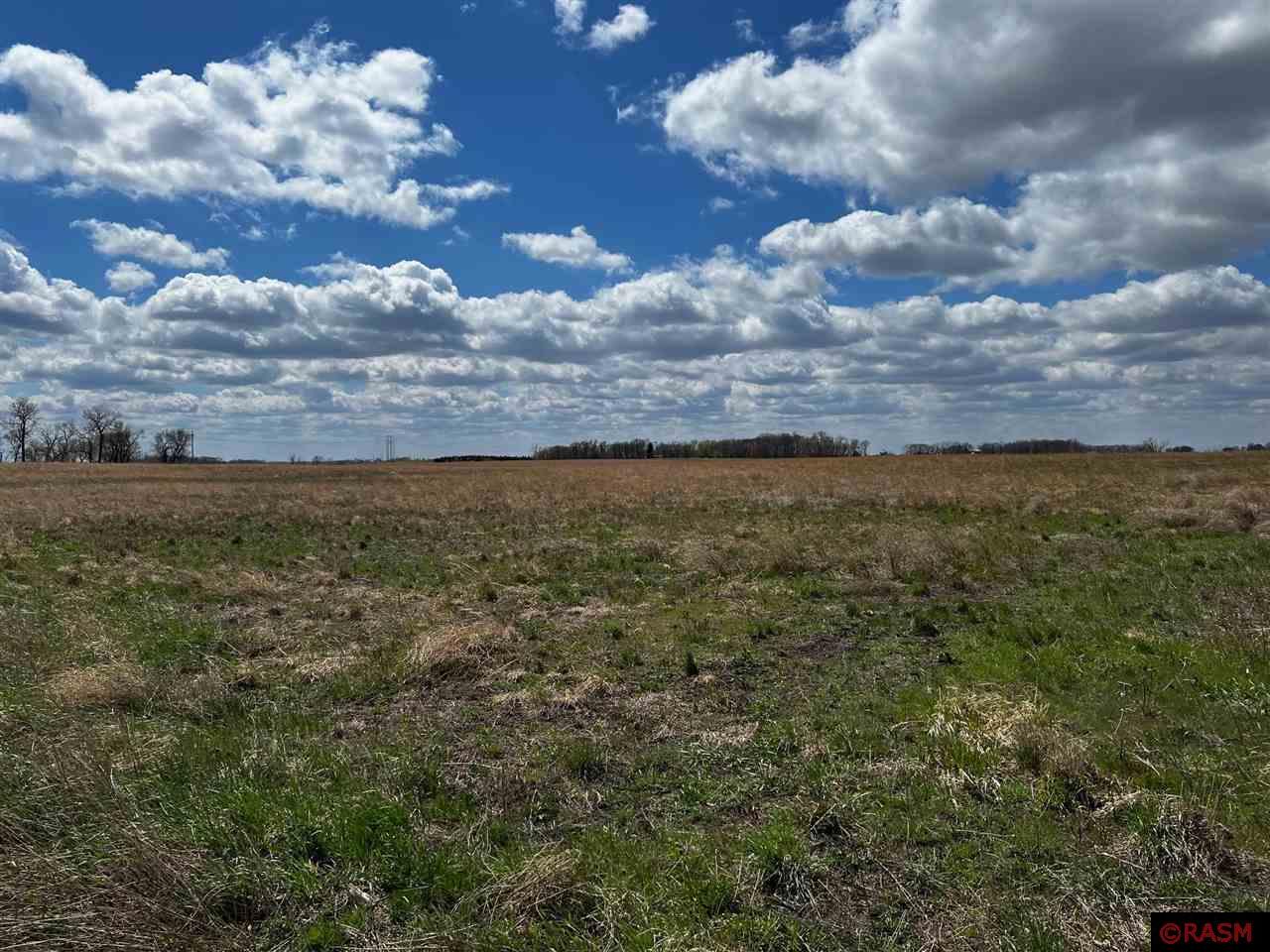 000 541st Ave Courtland MN 56021 7034872 image2