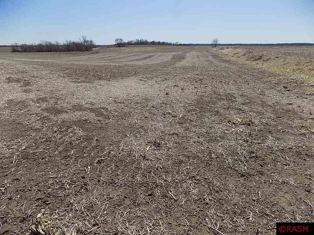 000 Drill Dr. Courtland MN 56021 7037120 image3