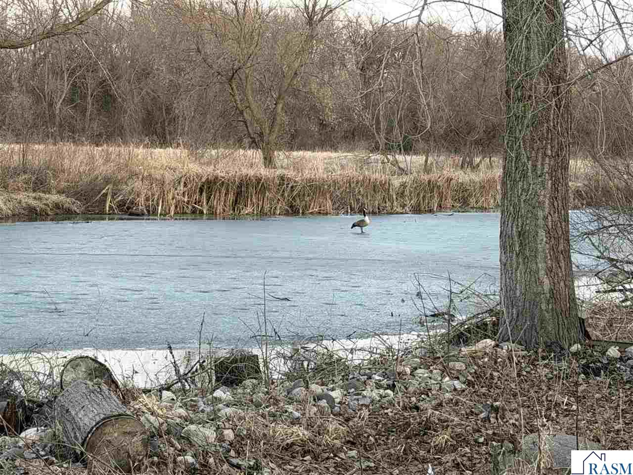 1005 SE 12 Street Waseca MN 56093 7039586 image3