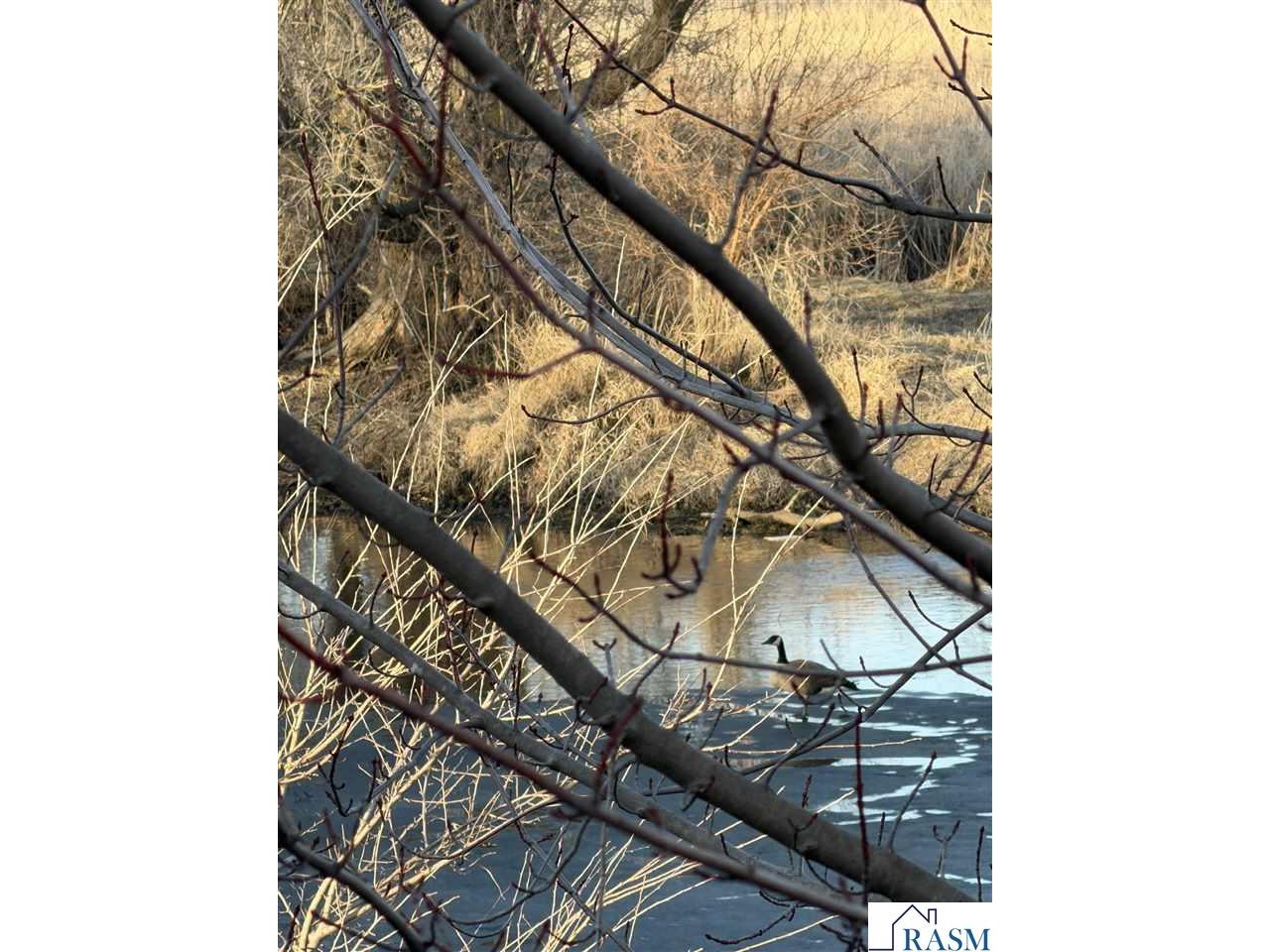 1005 SE 12 Street Waseca MN 56093 7039586 image6