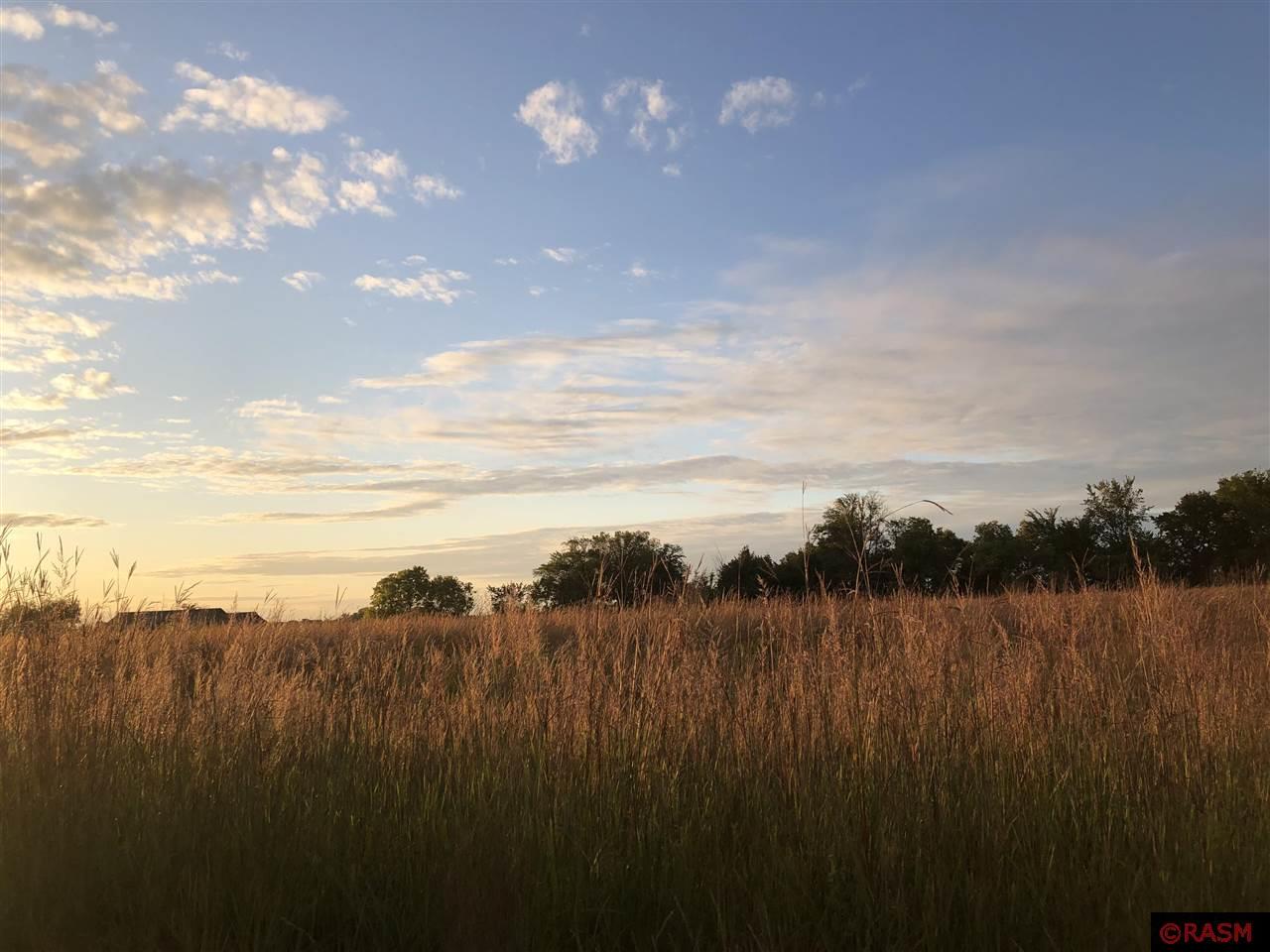 130 Nighthawk Lane, Madison Lake, MN 56063 MLS 7027062 Edina Realty